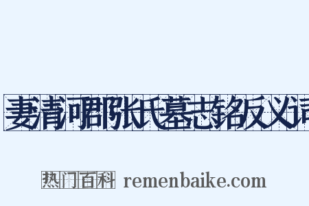 妻清河郡张氏墓志铭反义词是什么意思的图片
